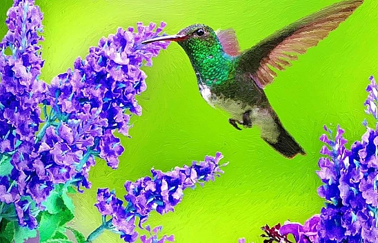 Malatya'da yaz gibi bahar: Hava sıcaklığı 4 derece yükseliyor…