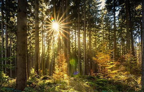 Malatya'da yaz gibi bahar: Hava sıcaklığı 3 derece yükseliyor…