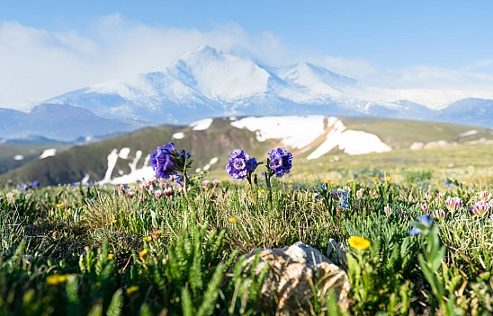Malatya'da yaz sıcakları yaşanıyor....