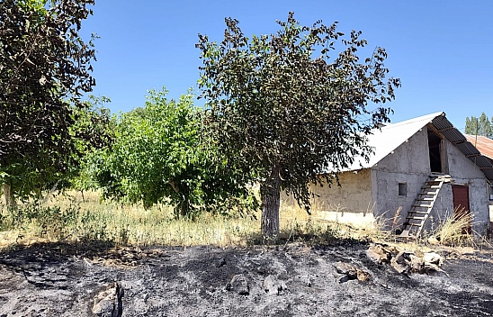 Malatya'da yerleşim yerine yakın yangın korkuttu