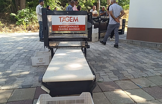 Malatya'da yerli kayısı pırtlatma makinesi görücüye çıktı