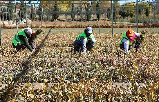 Malatya'da Yeşil Dönüşüm İçin Adım Atıldı!