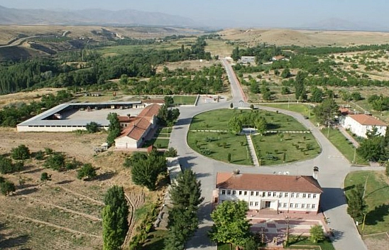 Malatya'da yetiştirildi! Fiyatı dudak uçuklattı