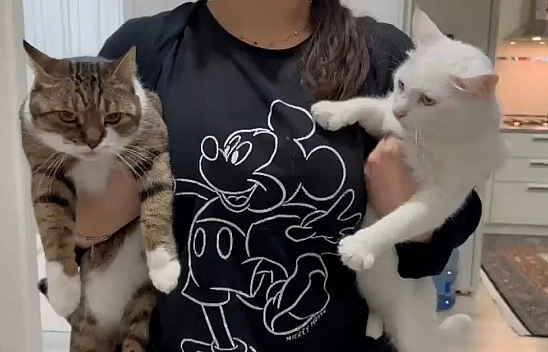 Malatya'da yıllardır süren yanlış anlayış çürütüldü