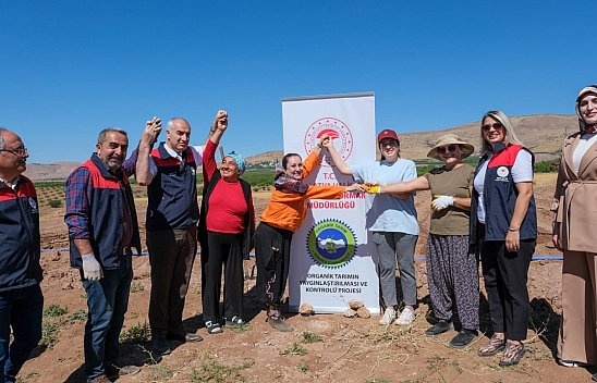 Malatya'da yüzde 100 hibeyle dağıtıldı! Fideler ve sulama sistemi teslim edildi: Bölge ekonomisine can suyu olacak