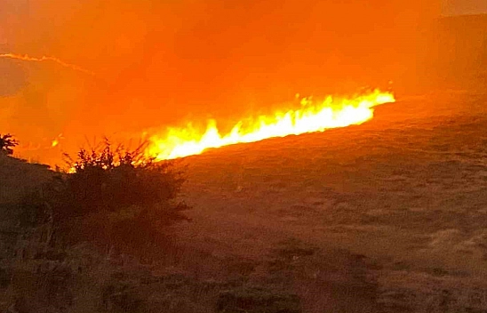 Malatya'da yüzlerce dönüm alanda yangın