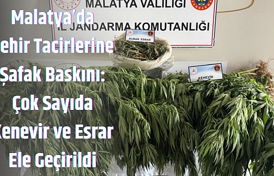 Malatya'da zehir tacirlerine şafak baskını: Çok sayıda Kenevir ve Esrar ele geçirildi
