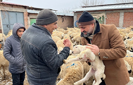 Malatya'daki Besiciler Bahara Umutla Bakıyor: Kuzu Doğumları Devam Ediyor