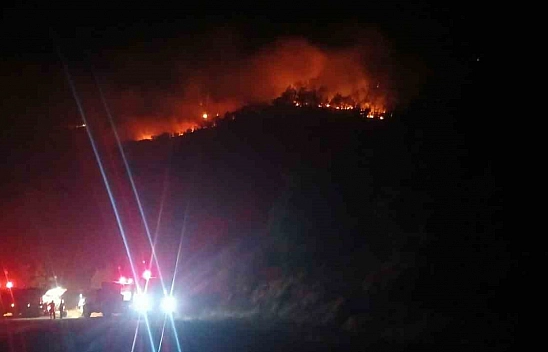 Malatya'daki orman yangını sürüyor