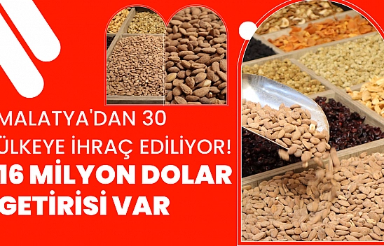 Malatya'dan 30 ülkeye ihraç ediliyor! 16 milyon dolar getirisi var