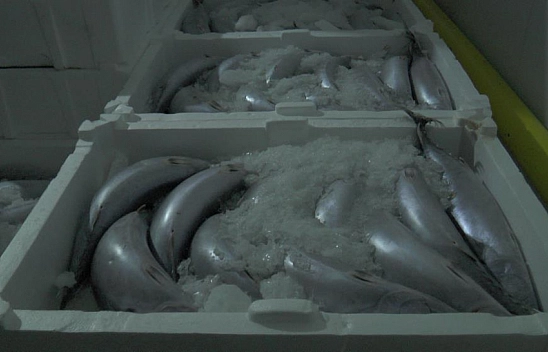 Malatya'dan Kayseri'ye Kayseri'den 6 Ülkeye Gidiyor!