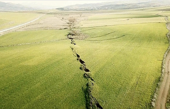 Malatya Fayı uzmanları 2'ye böldü! Uzmanlar ne diyor?