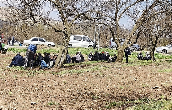 Malatya felaketi yaşadı: Üretici 17 ay para kazanamayacak!