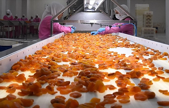 Kayısı İhracatçısı Malatya'yı Terkediyor!