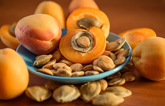 Malatya Kayısı Çekirdeği İhracatında Rekor: 12.9 Milyon Dolar Gelir Elde Edildi!