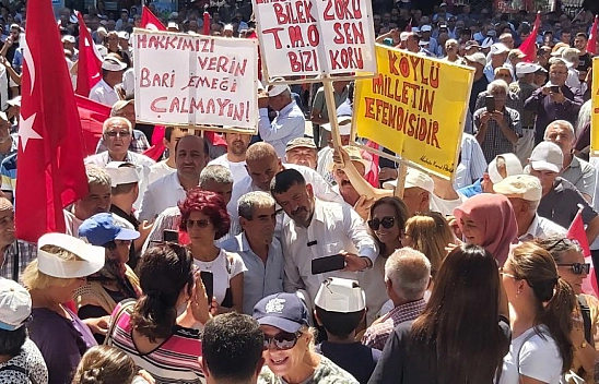 Malatya Kayısısı Çığlık Atmaya Devam Ediyor: Kayısı Üreticileri Ayakta!