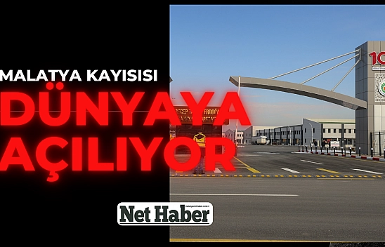 Malatya kayısısı dünyaya açılıyor