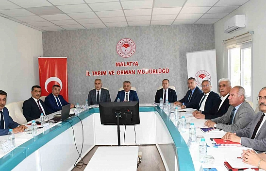 Malatya kayısısında rekolte: 107 bin 517 ton