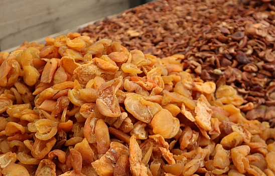 Malatya kayısısında büyük vurgun! Fiyatı kim belirliyor?