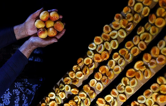 Malatya kayısısında stoklar tükendi!