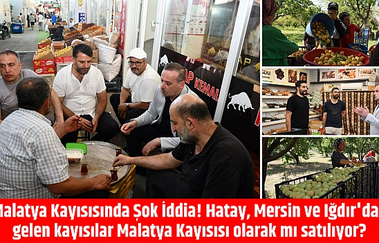 Hatay, Mersin ve Iğdır'dan gelen kayısılar Malatya Kayısısı olarak mı satılıyor?
