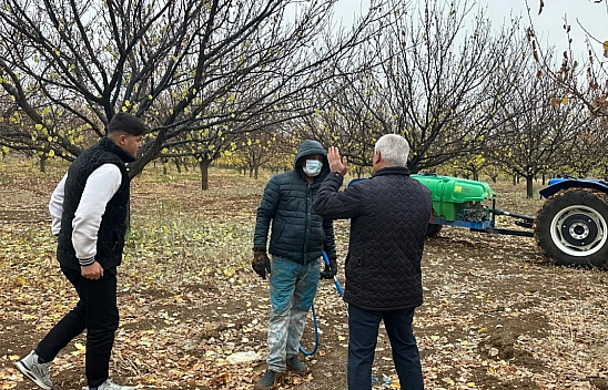 Malatya Kayısısında Verimi Artıracak Kritik Uyarı: Sonbahar İlaçlaması Başladı!
