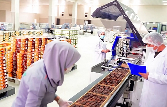 Malatya kayısısından 247 milyon dolarlık gelir