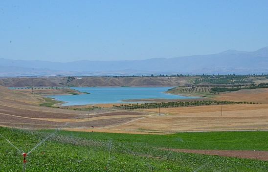 Malatya'nın bereketli Çukurova'sı rant kurbanı: GES bahanesiyle talan!