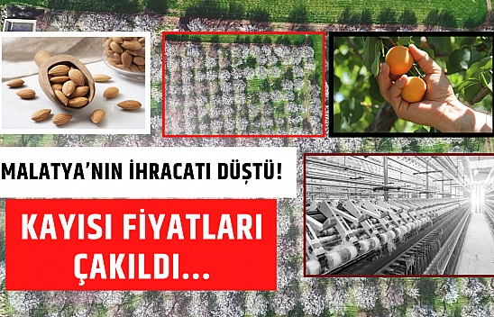 Malatya'nın ihracatı düştü! Kayısı fiyatları çakıldı...