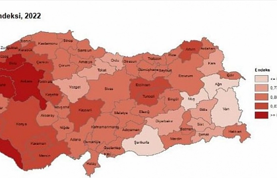Malatya'nın kalkınma endeksi 0,829'a ulaştı: Gelir düşüyor, beklenti artıyor!