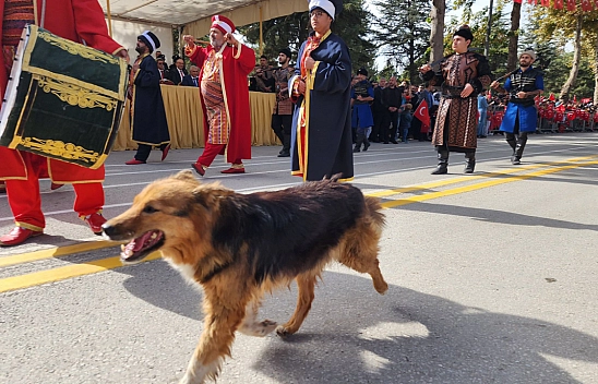 Malatya'nın maskotuydu! Şimdi tedavi görüyor...!