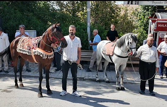 Malatya'nın şampiyon atı Kaçkar yeniden piste çıkıyor! Hedef Erzurum'da zafer