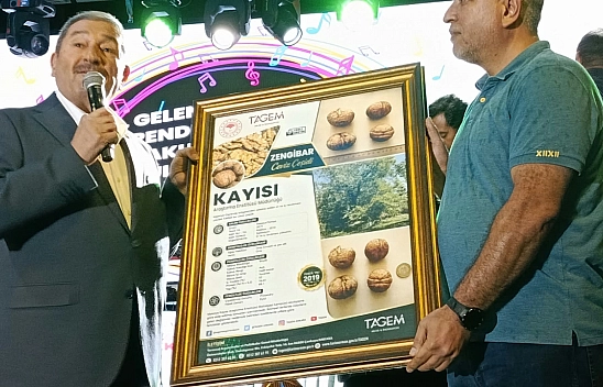Malatya'nın yeni tarım yıldızı: Zengibar Cevizi dünya çeşitleriyle yarışıyor