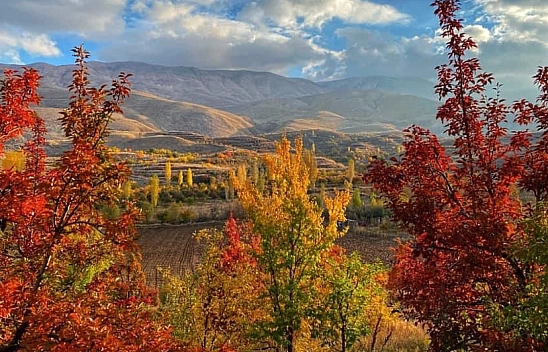 Malatya Ovası Kayısı Ağaçlarının Sararmasıyla Renklendi: Görsel Şölen Sunuyor...!