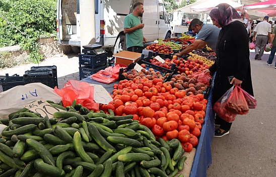 Malatya pazarlarında fiyatlar eriyor: Domates 30, salatalık 15 liraya düştü!
