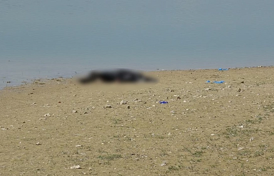 Piknik yapanlar fark etti! Pınarbaşı Göleti'nde erkek cesedi bulundu