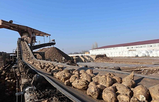 Malatya'da hedef 55 bin ton şeker