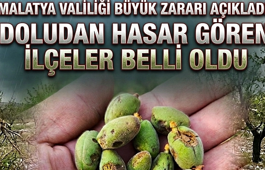 Malatya Valiliği dolu bilançosunu açıkladı: 9 ilçe 49 mahallede kayısı hasar gördü!