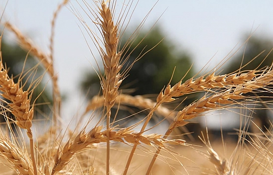Malatya Valisi Destekleri Açıkladı! İşte Malatya'ya Deprem Sonrası Yapılan Destekler…