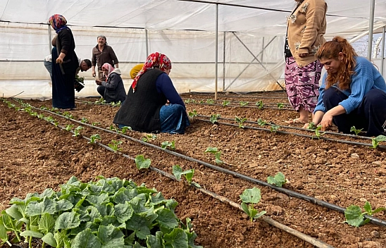 Malatya'ya çalışmaya geliyorlardı! Artık kendi arazilerinde üretim yapıyorlar