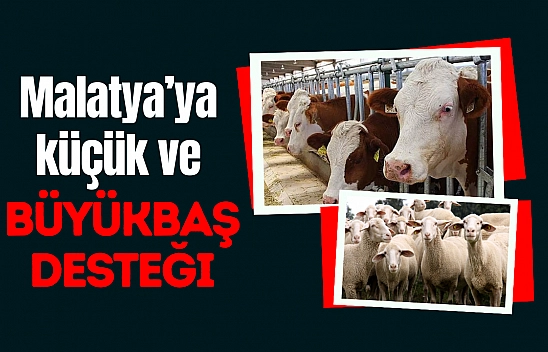 Malatya'ya küçük ve büyükbaş desteği