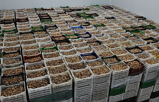 Malatya'ya Yeni Tesis Geliyor...!