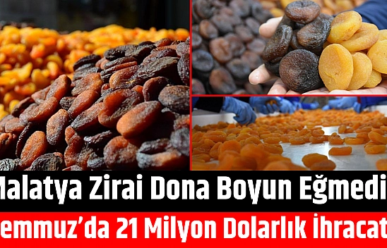 Malatya Zirai Dona Boyun Eğmedi: Temmuz'da 21 Milyon Dolarlık İhracat