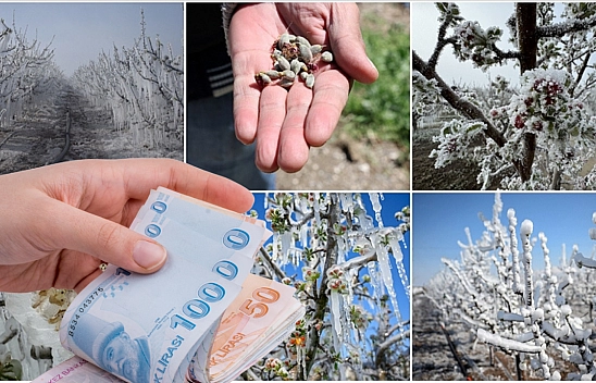 Malatyalı çiftçilere müjde: 22 milyar liralık zirai don desteği hesaplarda