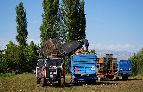 Malatyalı çiftçilere müjde: Destek ödemeleri bugün yatıyor!