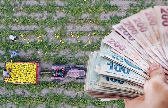 Malatyalı çiftçiye nefes aldıracak destek! Ödemeler başladı…