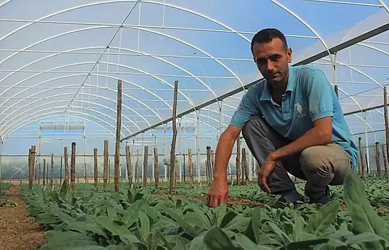 Malatyalı genç çiftçilere müjde! Devletten büyük destek paketi…