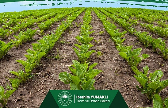 Malatyalı üreticilere müjde! 2. Avans ödemeleri hesaplarda