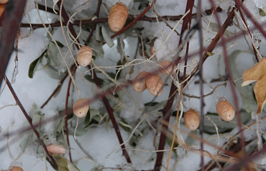 Malatyalılar Bugün Şemsiyenizi Yanınıza Almadan Dışarı Çıkmayın!