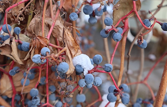 Malatya'da Yağmur Etkili Olacak Dikkat!